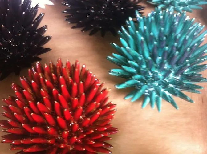 Moo Alojamento de Acomodação e Pequeno-almoço Vietri